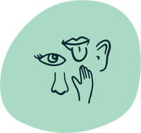 Sensory icon